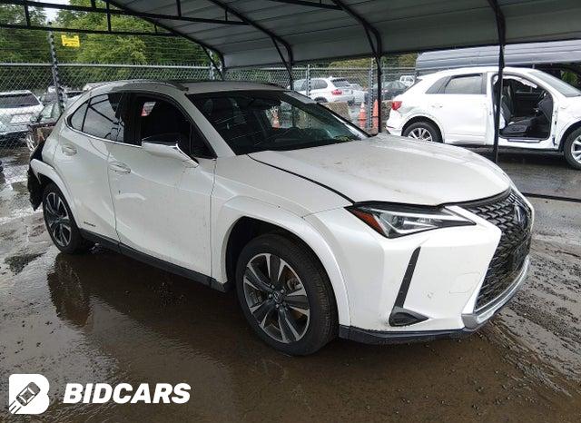 2022 Lexus UX 250H