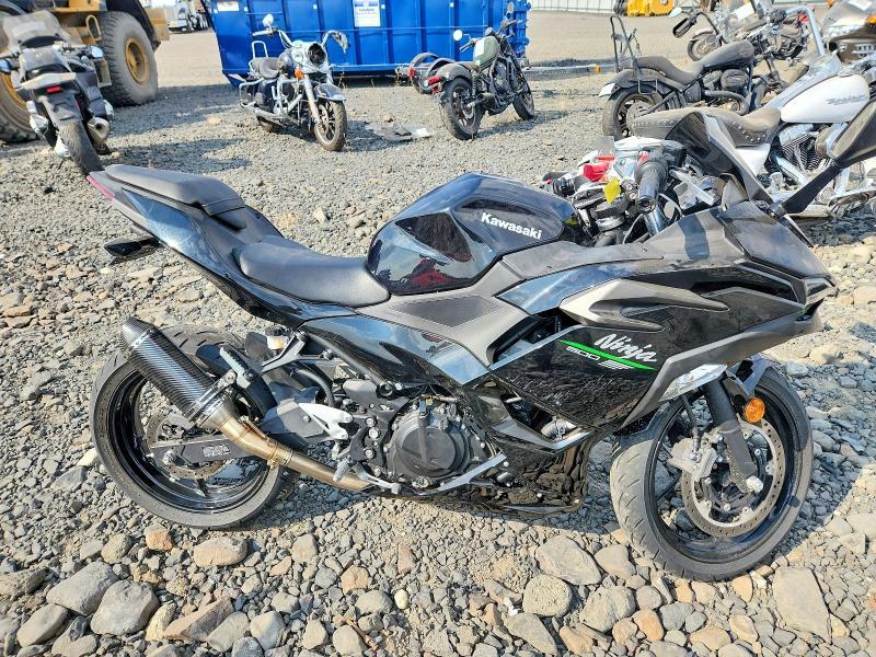 2024 Kawasaki EX500 H